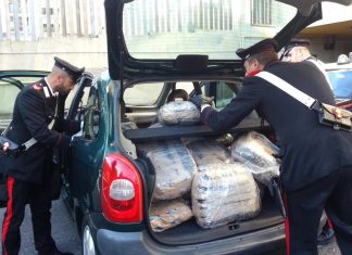 Trapani, piantagioni di marijuana: 11 arresti, 5 indagati