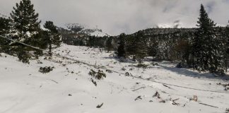 Valanga in Trentino, 3 alpinisti feriti