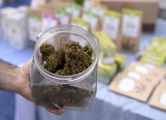 Verso la legalizzazione della cannabis ricreativa in Canada