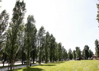 Raddoppiano i fondi per la difesa del suolo 2018: stanziati 12 milioni per l’Emilia Romagna