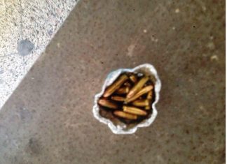 Napoli, trovati proiettili nel gabbiotto del portiere di un palazzo