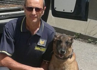 Operazione della guardia di finanza