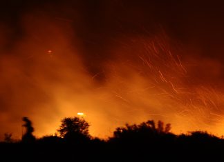 Grecia, in fiamme una foresta a ovest di Atene: al lavoro 70 pompieri
