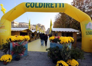 Prosecco, Coldiretti: “Bocciatura ingiusta”