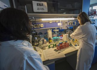 Metastasi al cervello, scoperto il meccanismo che ne causa la crescita