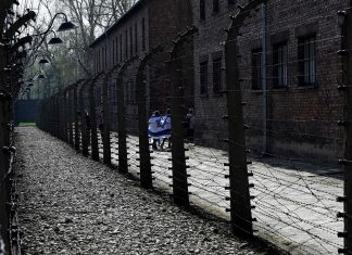 Polonia, rubano mattoni ad Auschwitz: sorpresi due turisti ungheresi