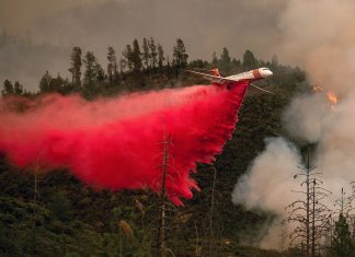 Sardegna: il Corpo forestale avvia le indagini per un rogo forse doloso