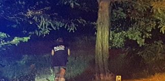 Stupro a Reggio Emilia