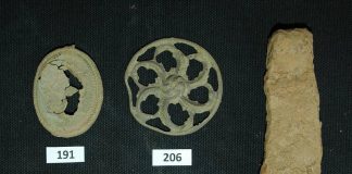 Archeologia - Ritrovamento di reperti