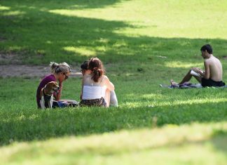 Caldo, temperatura del Reno a 27,6 gradi: moria di pesci in Svizzera