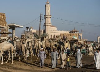 Egitto, mistero su morte turisti Gb: escluse intossicazione e violenza