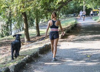Torino, città metropolitana: da Ministero ci siano fondi certi per strade