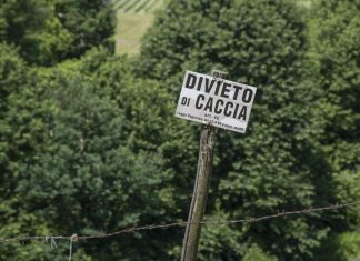 Imperia, Lac: giunta regionale responsabile omicidio venatorio