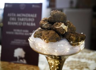 Coldiretti: al via la stagione della raccolta tartufo, spinta dal 56% in più di pioggia