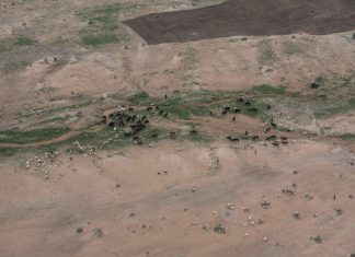 Rai3, domani per Doc3 ‘Quel che resta di me’