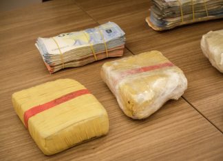 Trieste, nascondevano eroina nelle aiuole: 7 arresti