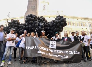Caccia, Wwf: vinti 7 ricorsi su 9 presentati in tribunale