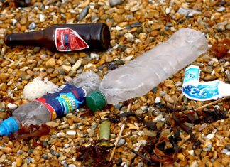 Wwf: Bando Ue a plastica monouso il primo importante passo