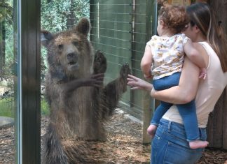 Roma, Halloween al Bioparco: sconti per i bimbi mascherati