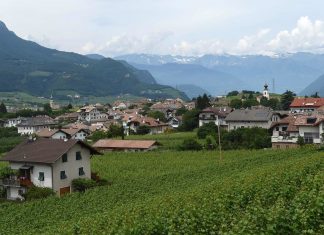 Bolzano, Provincia: tecniche ponti altoatesino esempio per Land Salisburgo