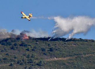 Sardegna, la Giunta approva i criteri sul rimboschimento compensativo