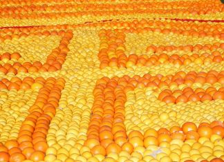 Cina, Coldiretti: “Export di agrumi da 448 milioni”