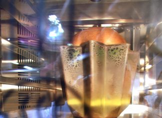 Cina, lo scienziato di gemelle con dna modificato: “Sperimentazione sospesa”