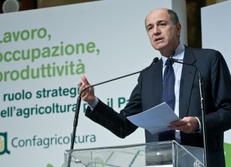 Riso, Confragricoltura: ripristino dazi importazioni da Cambogia e Myanmar