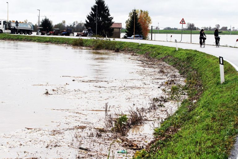Terremoti, Coldiretti: “In corso la ricognizione per i danni nelle campagne”