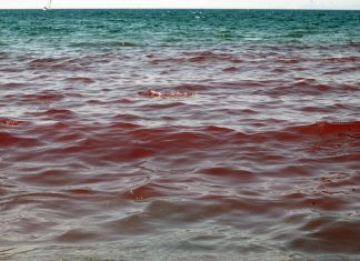 Campania, Fratoianni-Muroni: emergenza fiume Sarno, veleni in mare