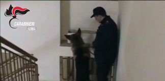 Droga a fiumi a Roma Est