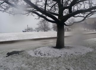 Usa, la tempesta di neve Eboni provoca 6 morti in 3 giorni