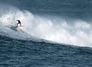 Australia, uno squalo attacca un surfista: è grave, continua l’escalation