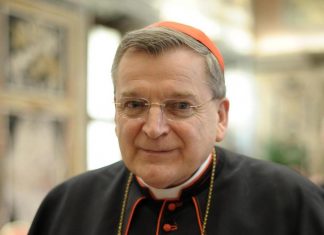 Pedofilia, l’appello di due cardinali: “Chiudere ‘l’agenda omosessuale’ della Chiesa”