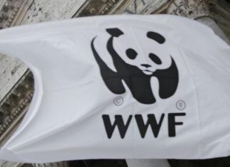 Caltanisetta: cacciatore con fucile ‘truccato’ condannato a risarcire il WWF
