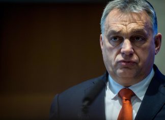 Europee, Biancofiore (FI): Espulsione Orban da Ppe è assist avversari