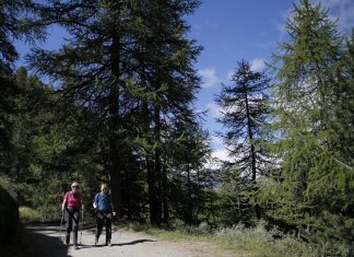 Svizzera, frenano le esportazioni: nel mese di luglio -3,9%