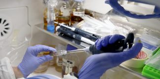 Laboratorio analisi esami malattie