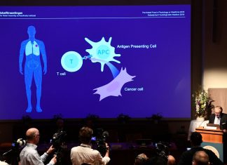Al britannico Peter Ratcliffe e agli statunitensi Gregg Semenza e William Kaelin il Nobel per la Medicina
