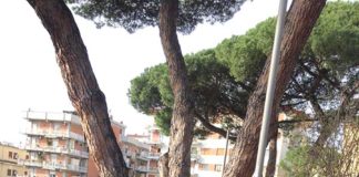 Liceo Vittorini, il sit in degli studenti