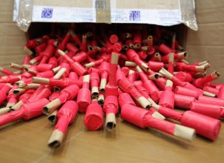 Capodanno: a Milano botti vietati a tutela della qualità aria e degli animali