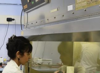 Virus cinese, confermato il contagio umano. Controlli su voli Italia-Wuhan