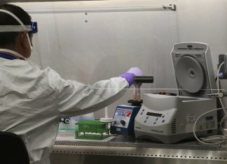 Coronavirus, 2 nuovi morti e 92 casi in Francia, totale a 377