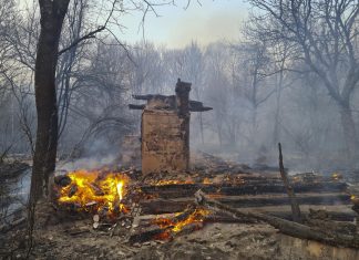 Ucraina, continuano a bruciare incendi attorno a Chernobyl