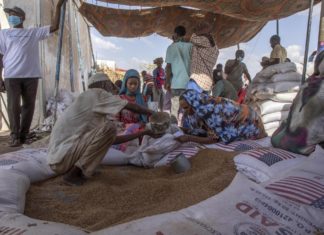 Sudan, accordo fra il governo e il gruppo ribelle Splm-N per colloqui di pace