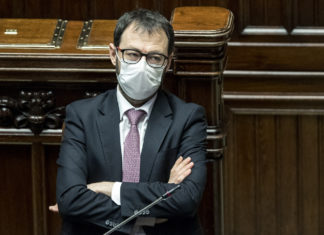 Agricoltura, Patuanelli: “Momento duro per il settore vitivinicolo, va sostenuto”