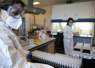 Vaccini, in Campania somministrate 26.060 dosi nelle ultime 24 ore