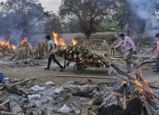 Covid, in India 3.689 morti e 393mila contagi nelle ultime 24 ore