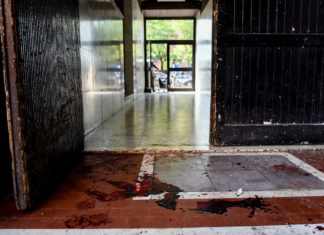 Milano, una lite finisce in tragedia: uccide il fratello davanti alla madre