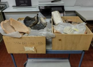 Bari, scoperti in Belgio 782 reperti archeologici del valore di 11 milione